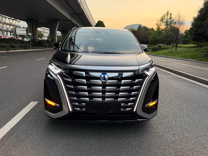 Фото 1 - Denza D9