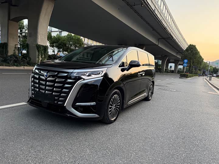 Фото 2 - Denza D9