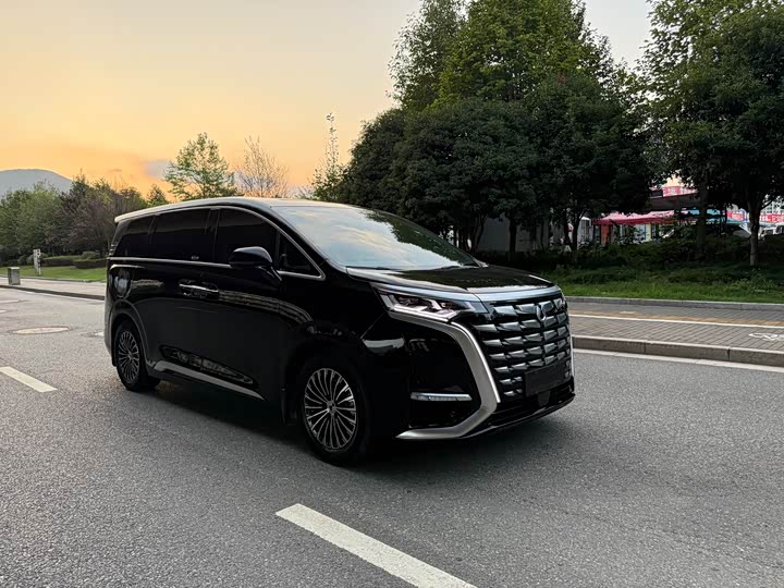 Фото 3 - Denza D9