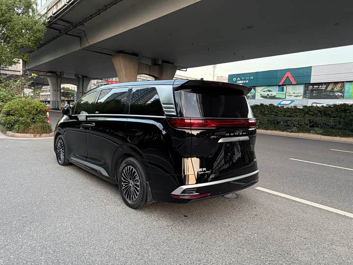 Фото 4 - Denza D9