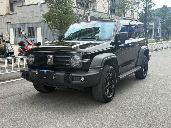 Фото 1 - Tank 300