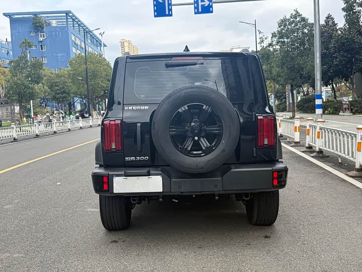 Фото 5 - Tank 300