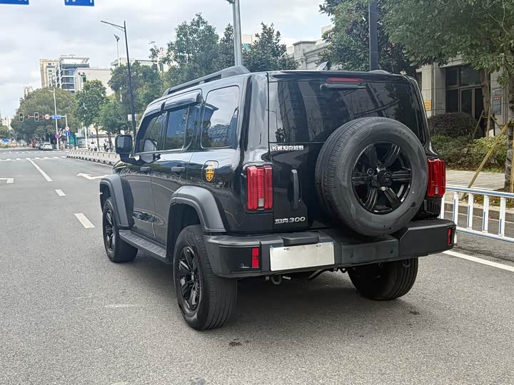 Фото 6 - Tank 300