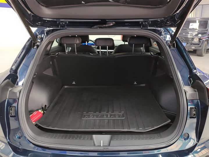 Фото 4 - Haval F7 (Monster)