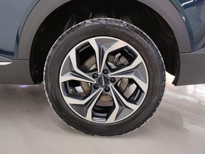 Фото 6 - Haval F7 (Monster)