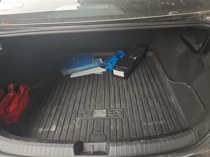 Photo 4 - Volkswagen Sagitar L