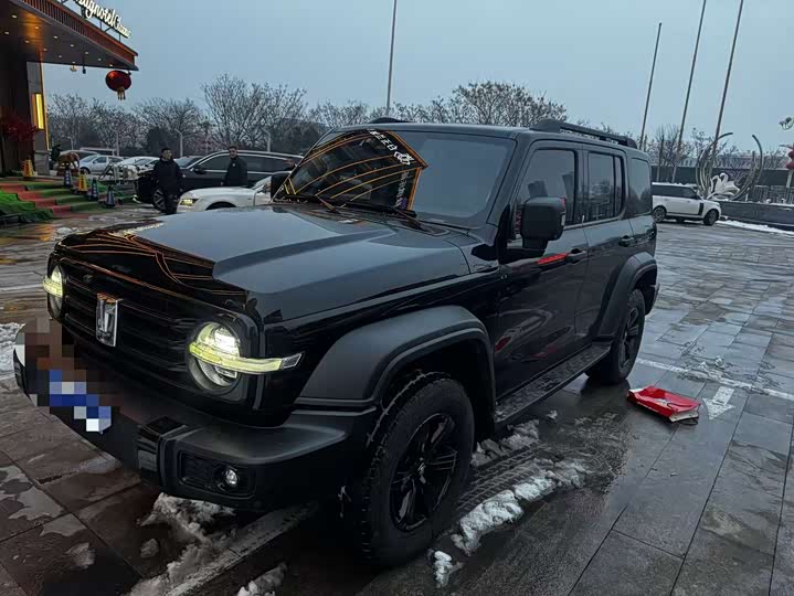 Фото 1 - Tank 300