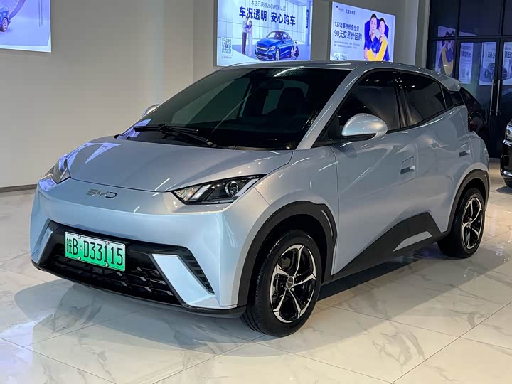 Фото 1 - BYD Seagull