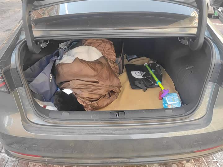 Фото 4 - Chery Fulwin A8L