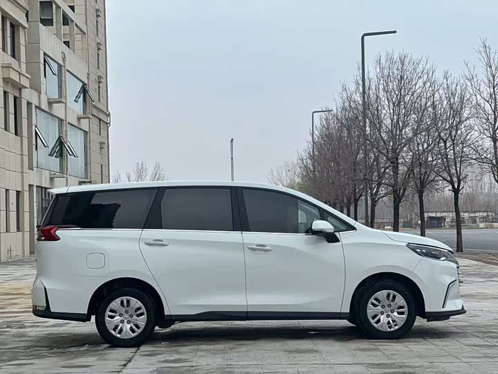 Фото 9 - Maxus G50