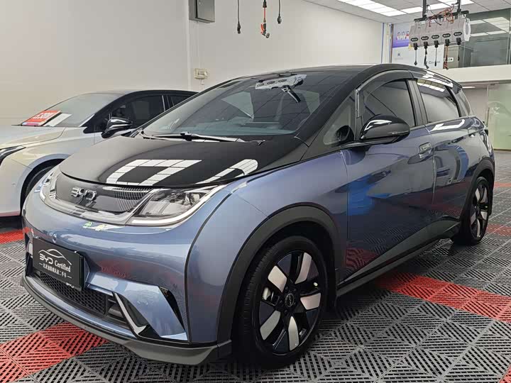 Фото 1 - BYD Dolphin