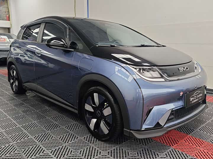 Фото 3 - BYD Dolphin