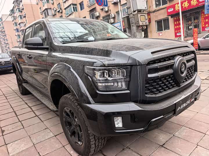 Фото 5 - Great Wall Shanhai Poer