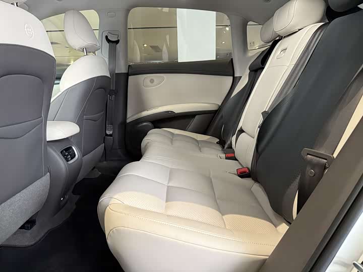 Фото 6 - IM motors LS6