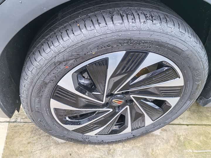 Photo 4 - Hongqi HS7 Hybrid