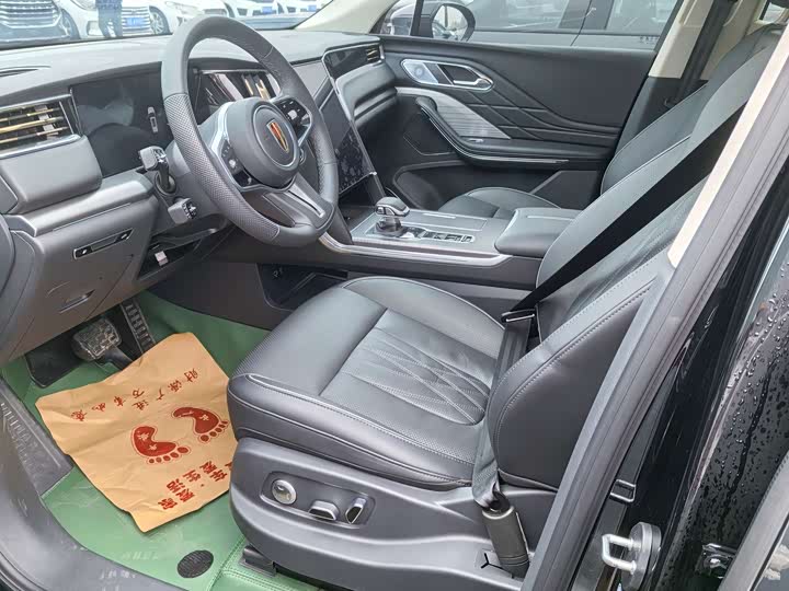 Photo 6 - Hongqi HS7 Hybrid