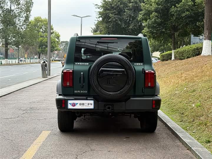 Фото 4 - Tank 300