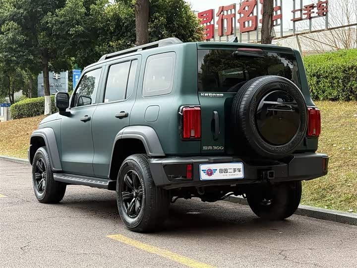 Фото 5 - Tank 300