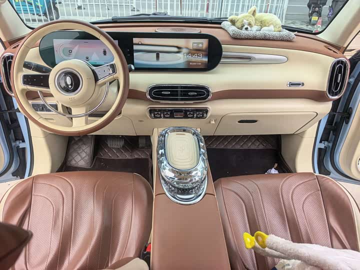 Photo 6 - Ora Ballet Cat