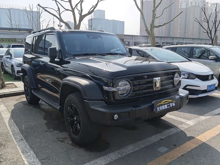 Фото 2 - Tank 300