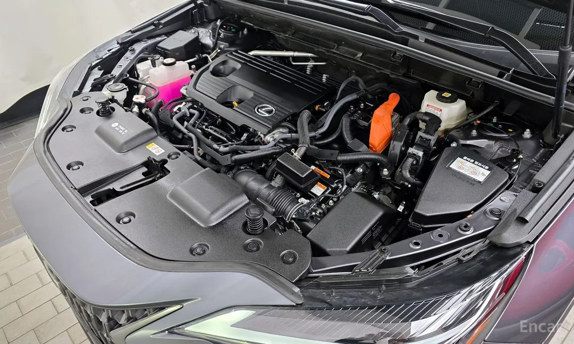 Фото 6 - Lexus NX