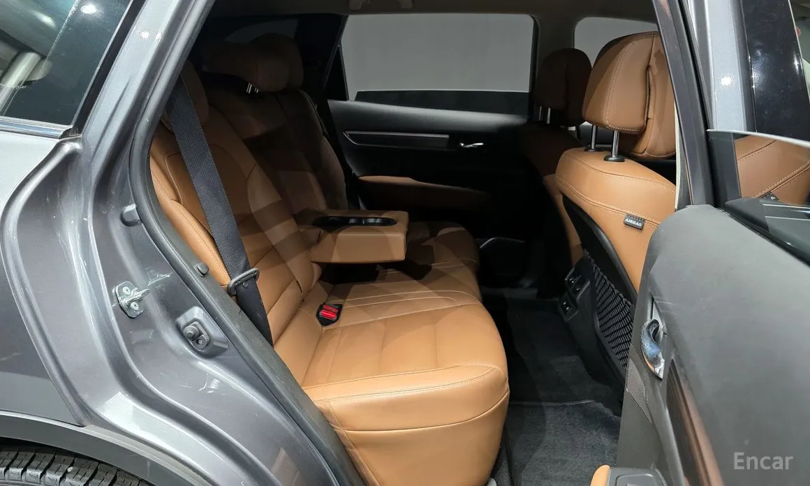 Фото 12 - Renault QM6