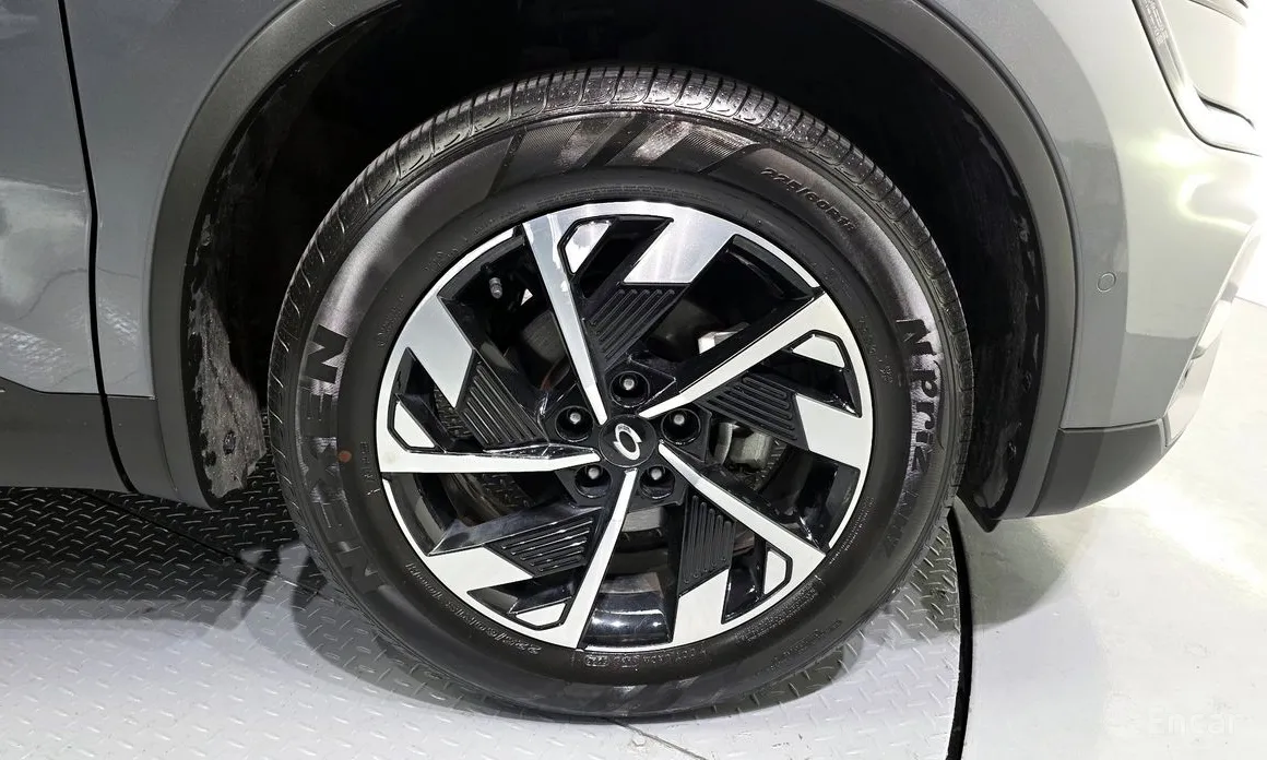 Фото 5 - Renault QM6