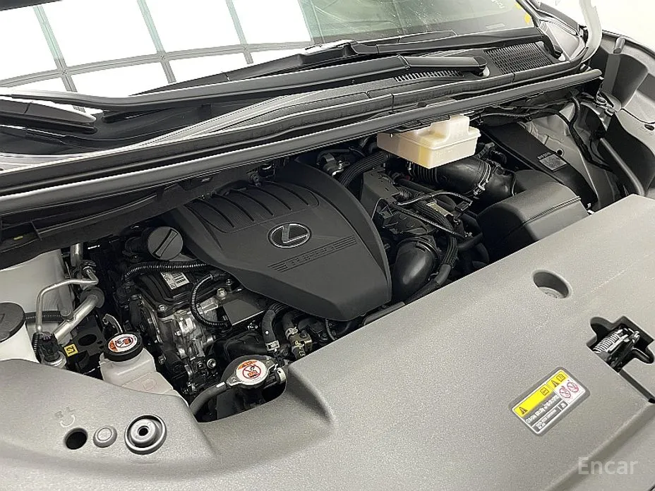 Фото 6 - Lexus LM