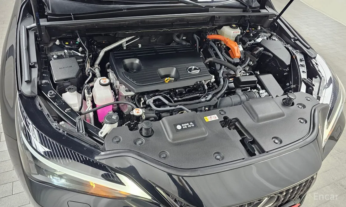 Lexus NX 2022 Premium