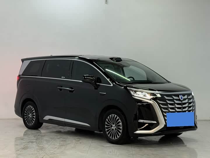 Фото 1 - Denza D9