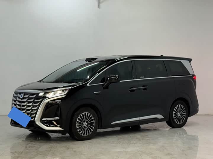 Фото 3 - Denza D9