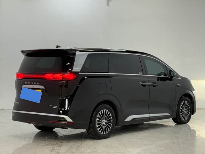 Фото 4 - Denza D9