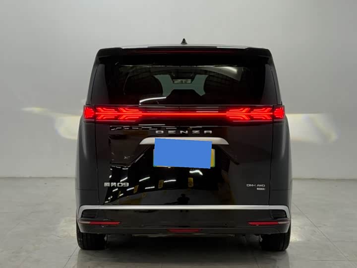 Фото 5 - Denza D9