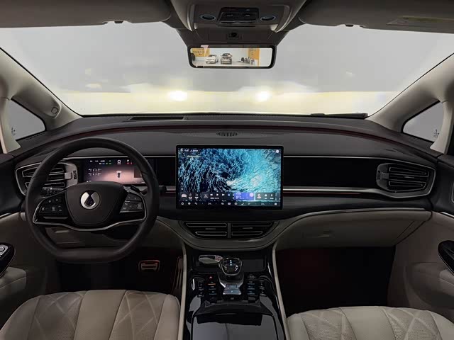 Фото 6 - Denza D9