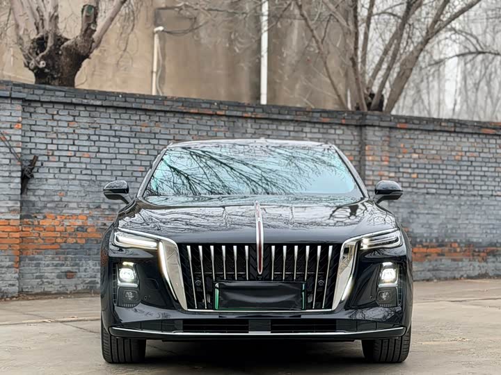 Фото 2 - Hongqi H5 Hybrid