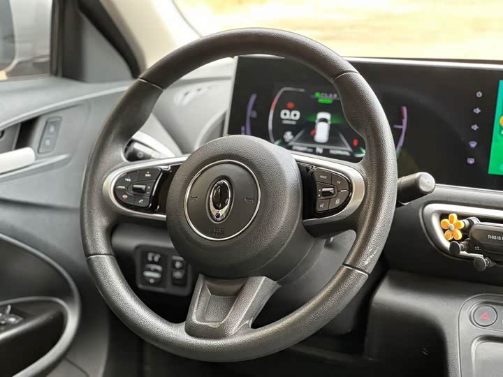 Photo 7 - Ora White Cat