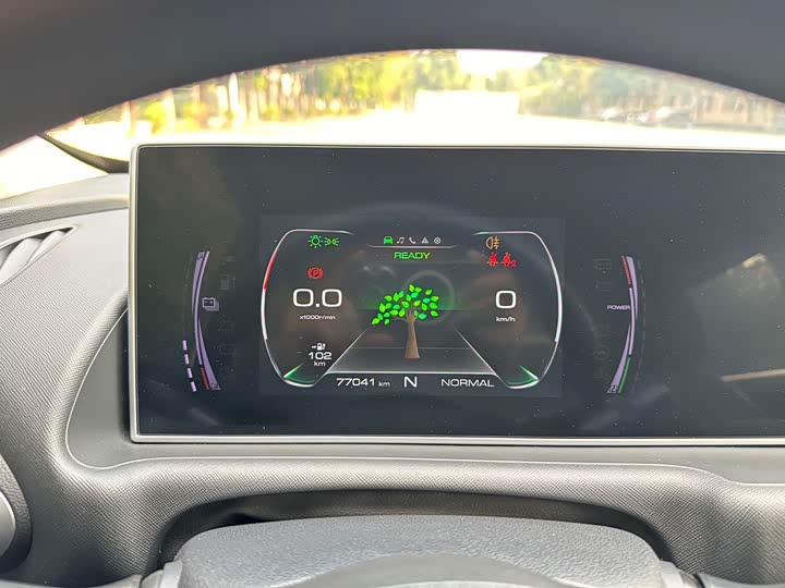 Photo 9 - Ora White Cat