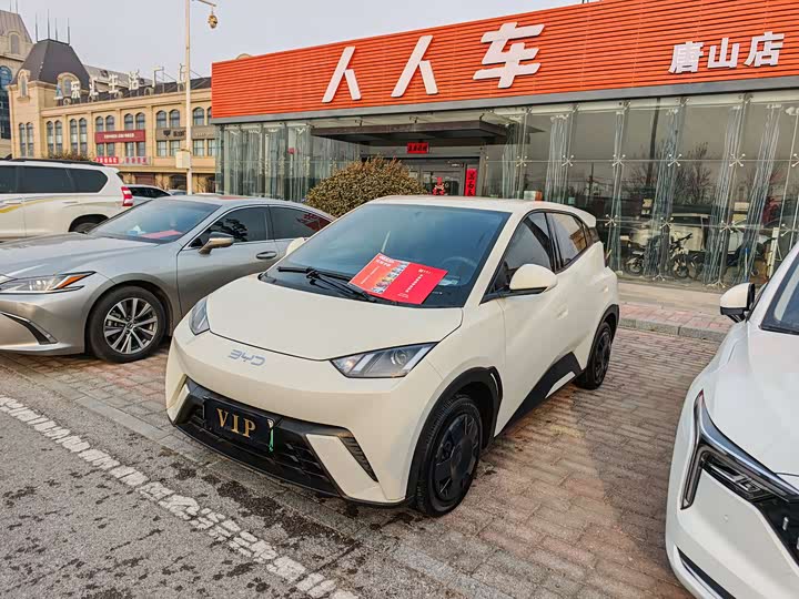 Фото 1 - BYD Seagull