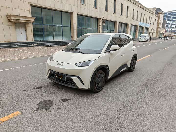 Фото 2 - BYD Seagull