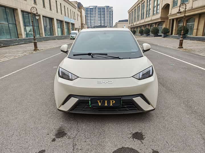 Фото 3 - BYD Seagull