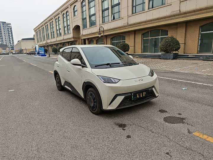 Фото 4 - BYD Seagull