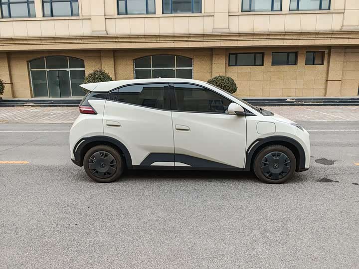 Фото 6 - BYD Seagull