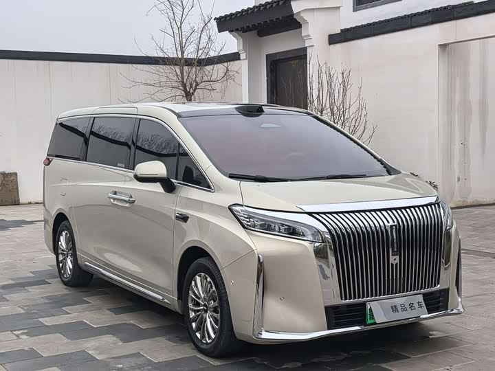 Фото 3 - Wey Gaoshan