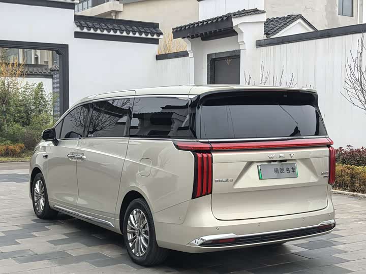 Фото 4 - Wey Gaoshan