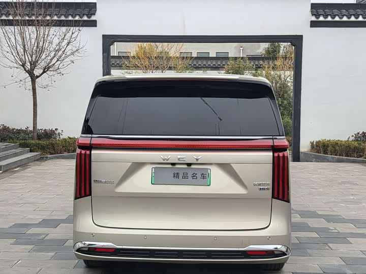 Фото 5 - Wey Gaoshan