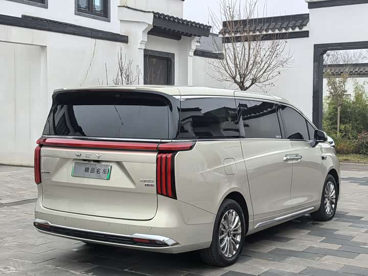 Фото 6 - Wey Gaoshan