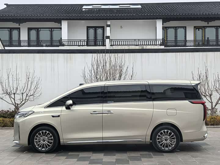 Фото 7 - Wey Gaoshan