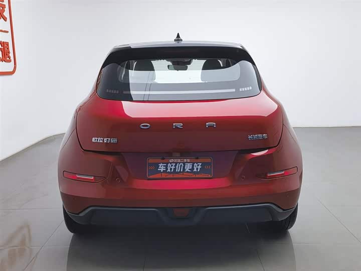 Photo 4 - Ora Good Cat (03)