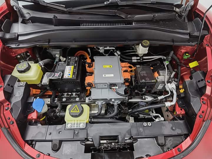 Photo 6 - Ora Good Cat (03)