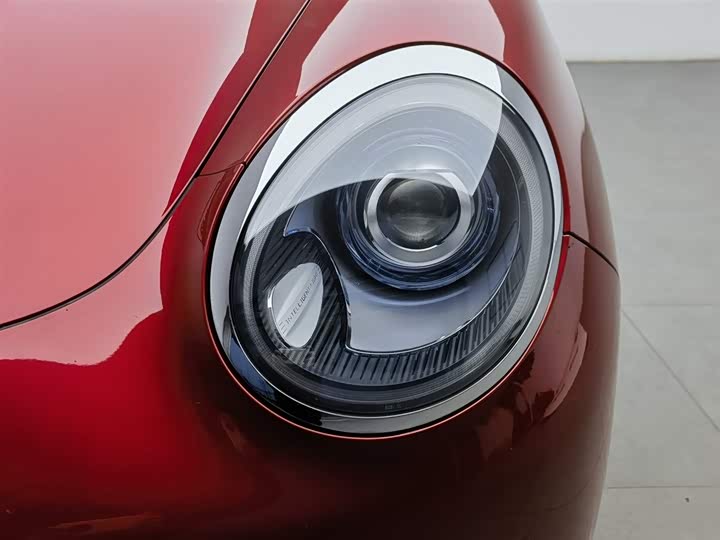 Photo 7 - Ora Good Cat (03)